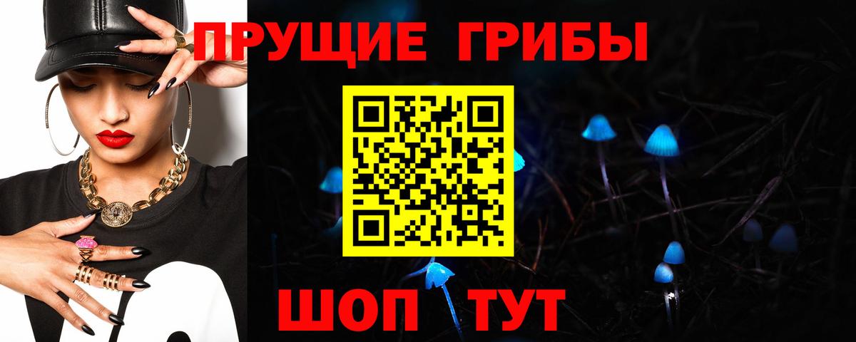 Псилоцибиновые грибы GOLDEN TEACHER Лосино-Петровский